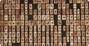 Wooden pieces with ancient script written on them